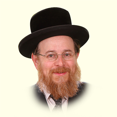 Rabbi Yisroel Friedman shlita